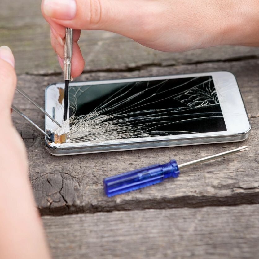 réparation cellulaire